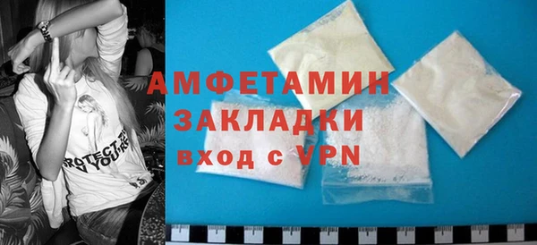 индика Гусь-Хрустальный