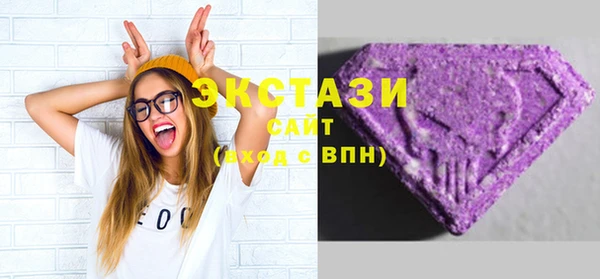 индика Гусь-Хрустальный