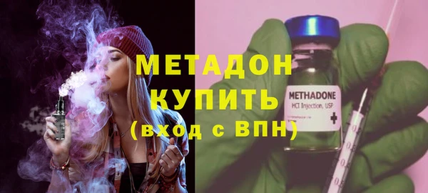 индика Гусь-Хрустальный
