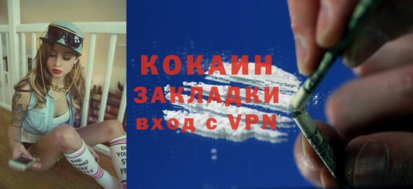 индика Гусь-Хрустальный