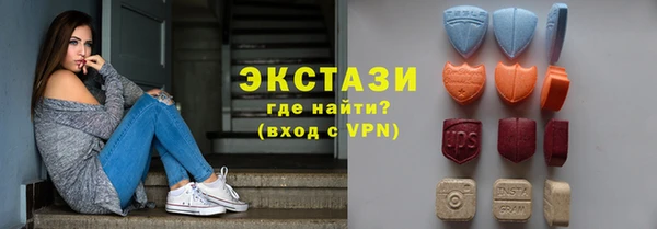 индика Гусь-Хрустальный