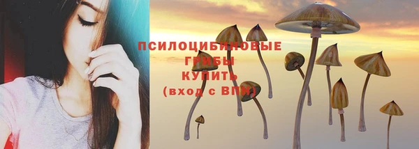 кокаин колумбия Гусев