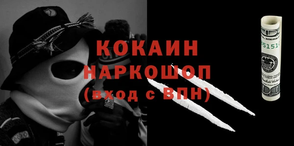 индика Гусь-Хрустальный