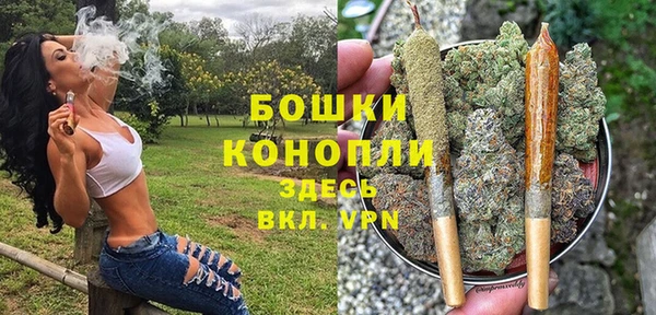индика Гусь-Хрустальный