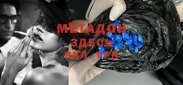 индика Гусь-Хрустальный