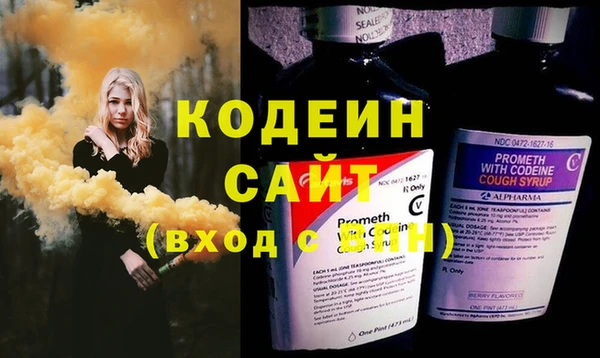 индика Гусь-Хрустальный