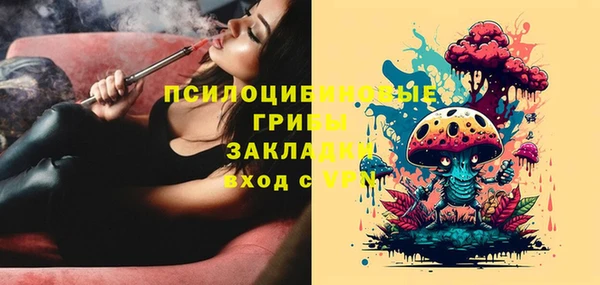 твердый Гусиноозёрск