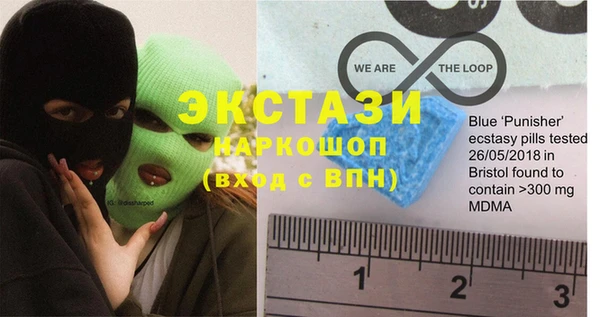 индика Гусь-Хрустальный