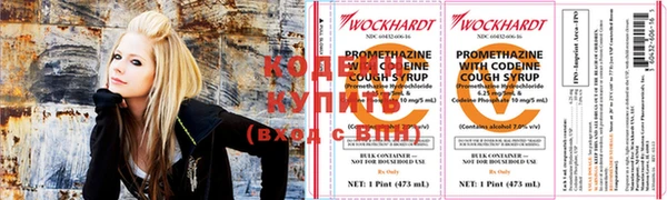 индика Гусь-Хрустальный