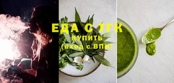 индика Гусь-Хрустальный