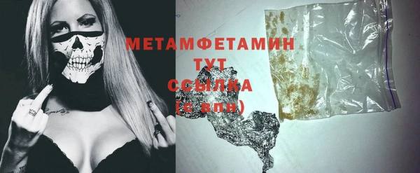 индика Гусь-Хрустальный