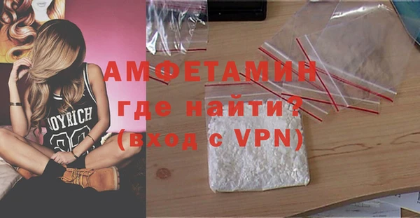 индика Гусь-Хрустальный