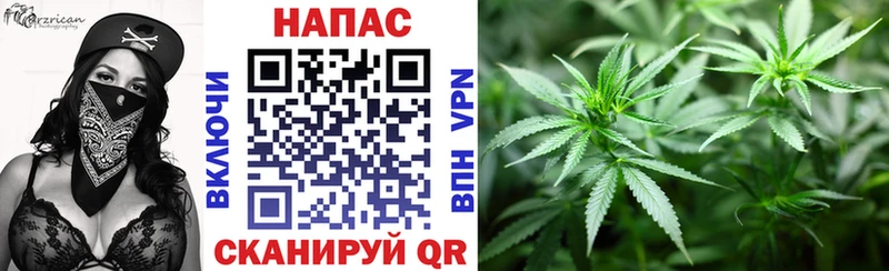 Купить закладки  Инза  Шишки марихуана Ganja 